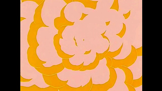 Naruto & Dragon Ball Hentai Anime Girls Suck Dick & Get fucked In Sexy Positions